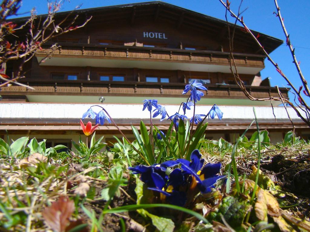 Hotel Bellevue Neustift im Stubaital Eksteriør bilde